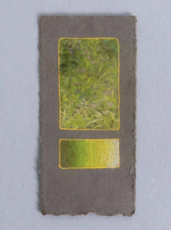 Grass Study - Ester Araujo